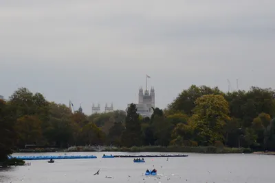 DSC_0693 (Large).JPG